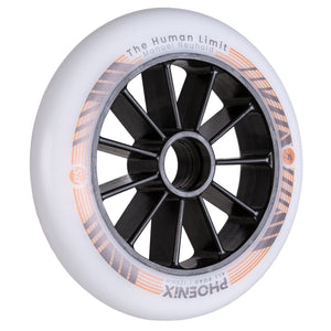 PHOENIX 125mm x The Human Limit AR (1)