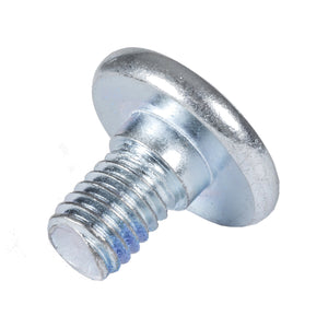 Hex Mounting Screw 10mm (1)