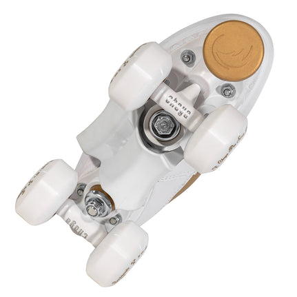 tech_icon_rollerskate_standardmount